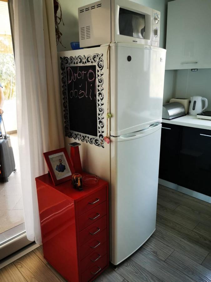 Studio Apartment Rosemary Rovinj Eksteriør billede