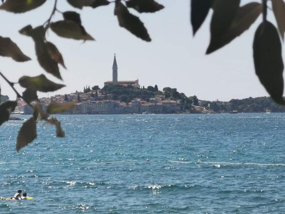 Studio Apartment Rosemary Rovinj Eksteriør billede