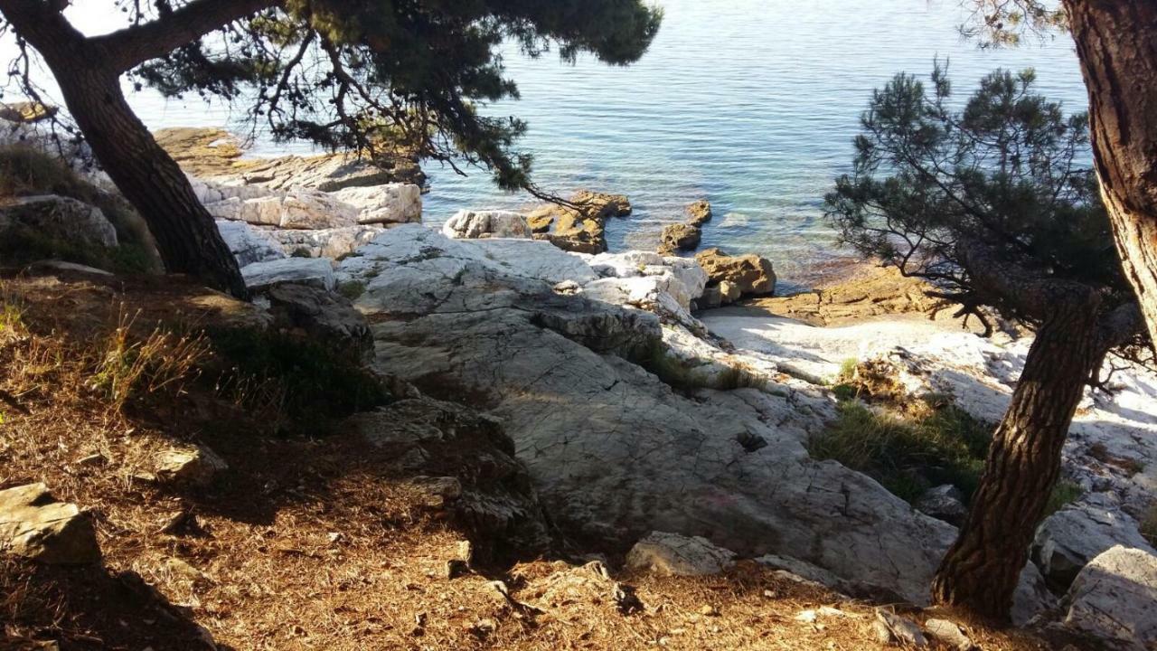 Studio Apartment Rosemary Rovinj Eksteriør billede