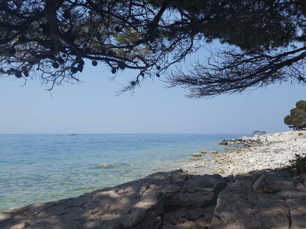 Studio Apartment Rosemary Rovinj Eksteriør billede